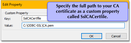 windows odbc custom CACert property